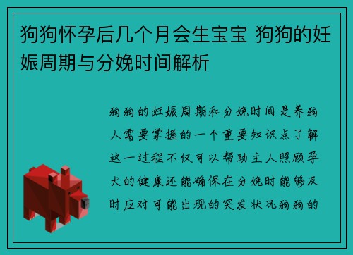 狗狗怀孕后几个月会生宝宝 狗狗的妊娠周期与分娩时间解析